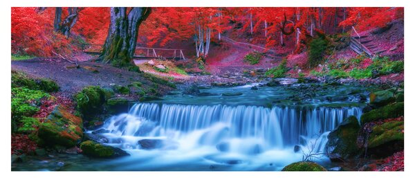 Slika slapa v rdečem gozdu (120x50 cm)