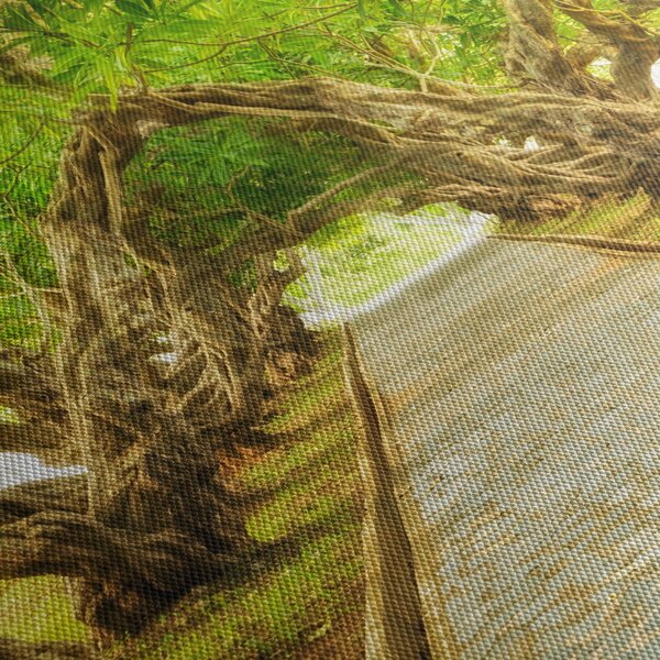 Slika - Živi tunel plumerije (120x50 cm)