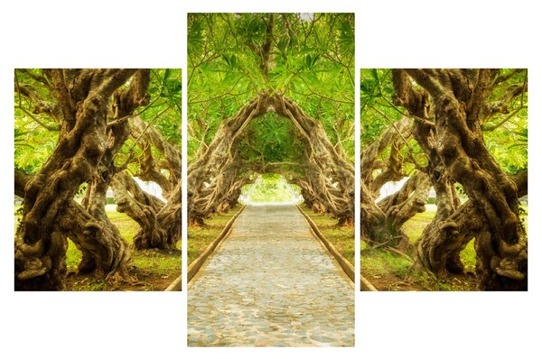 Slika - Živi tunel plumerije (90x60 cm)