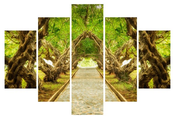 Slika - Živi tunel plumerije (150x105 cm)