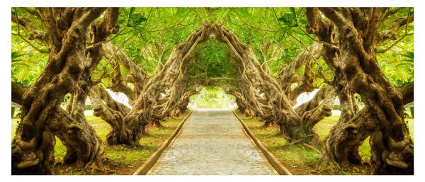 Slika - Živi tunel plumerije (120x50 cm)