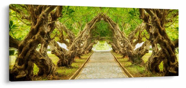 Slika - Živi tunel plumerije (120x50 cm)