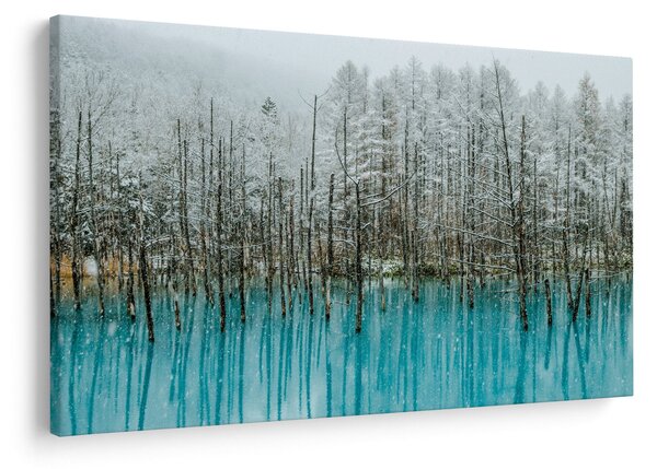 Slika - Turkizni ribnik, Biei, Japonska (90x60 cm)