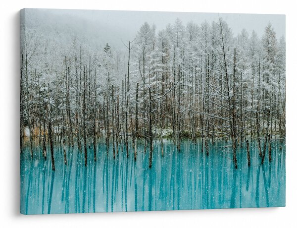 Slika - Turkizni ribnik, Biei, Japonska (70x50 cm)