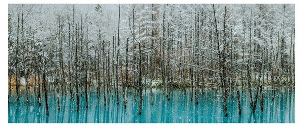 Slika - Turkizni ribnik, Biei, Japonska (120x50 cm)