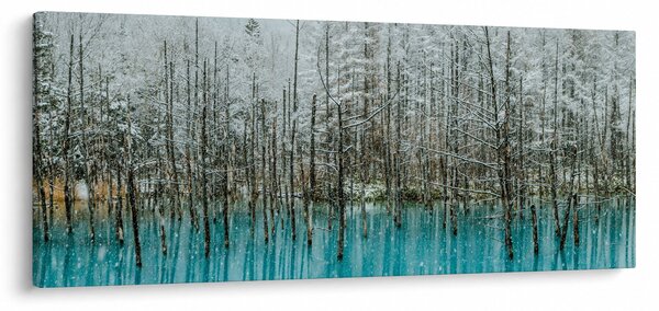 Slika - Turkizni ribnik, Biei, Japonska (120x50 cm)