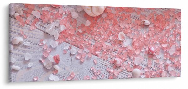 Slika - Obmorsko vzdušje v roza odtenkih (120x50 cm)