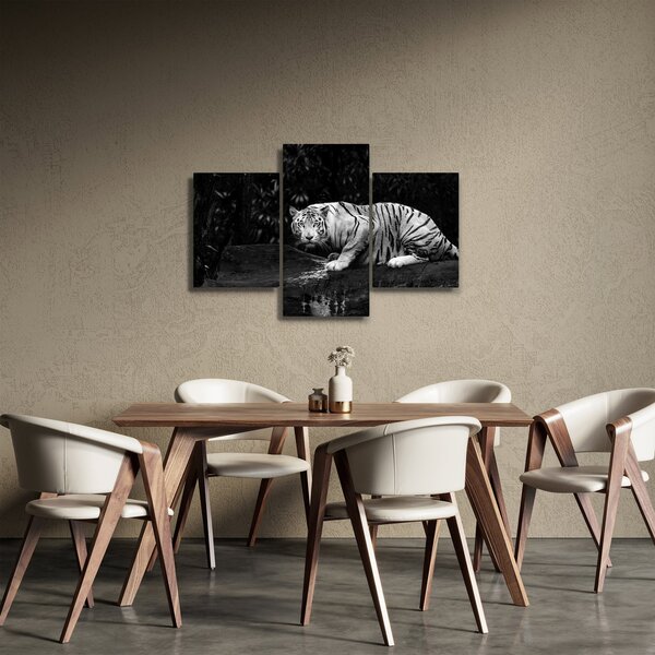 Slika - Albino tiger, črno-bela (90x60 cm)