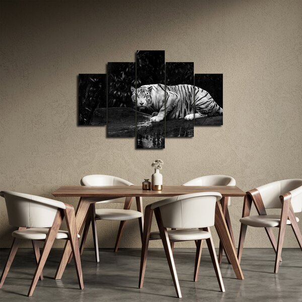 Slika - Albino tiger, črno-bela (150x105 cm)