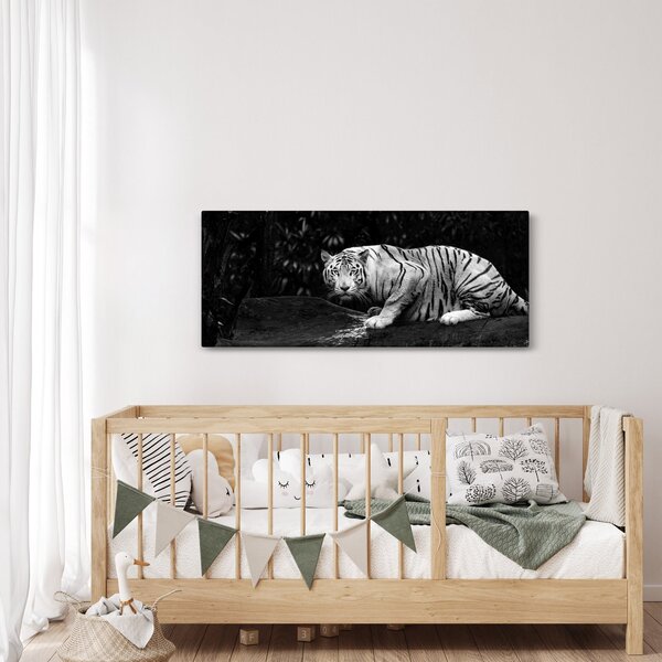 Slika - Albino tiger, črno-bela (120x50 cm)