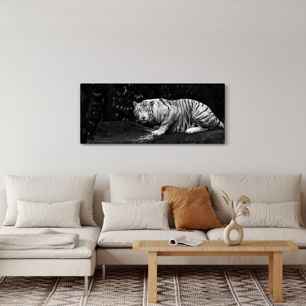 Slika - Albino tiger, črno-bela (120x50 cm)