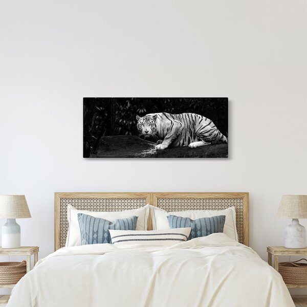 Slika - Albino tiger, črno-bela (120x50 cm)
