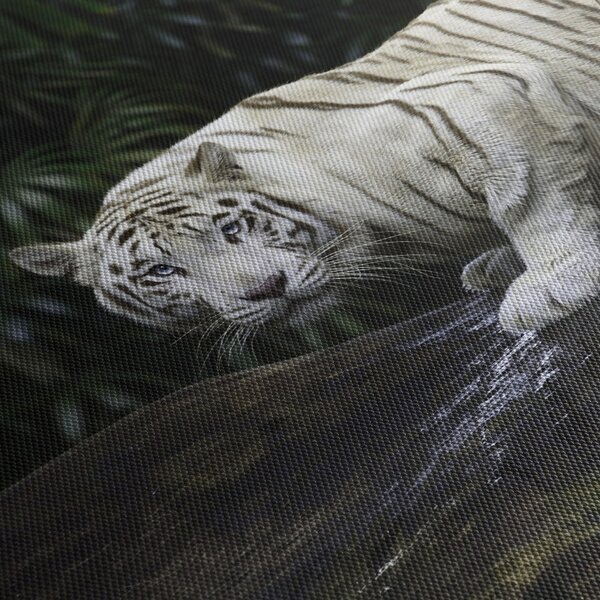 Slika - Albino tiger (90x60 cm)