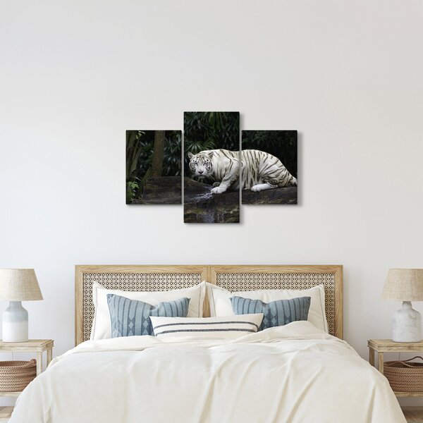 Slika - Albino tiger (90x60 cm)