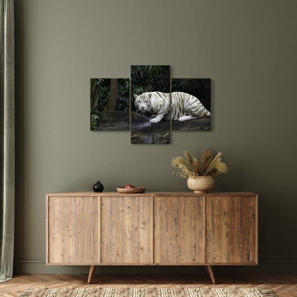 Slika - Albino tiger (90x60 cm)