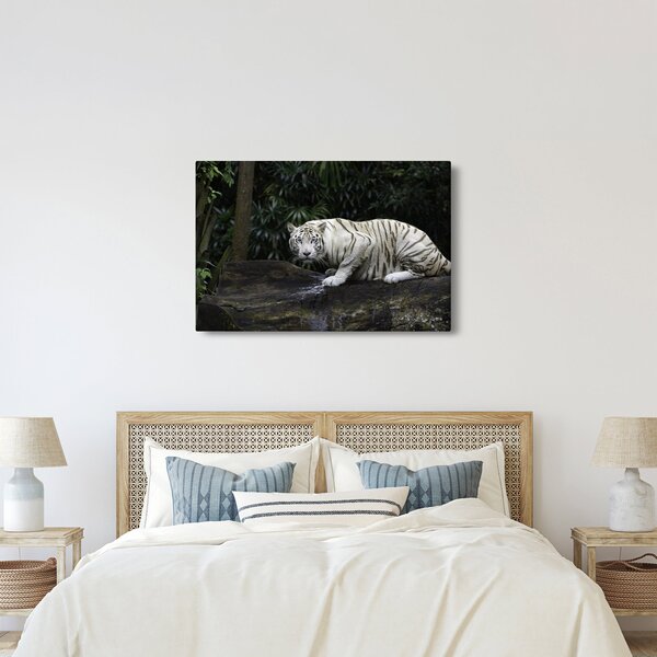 Slika - Albino tiger (90x60 cm)