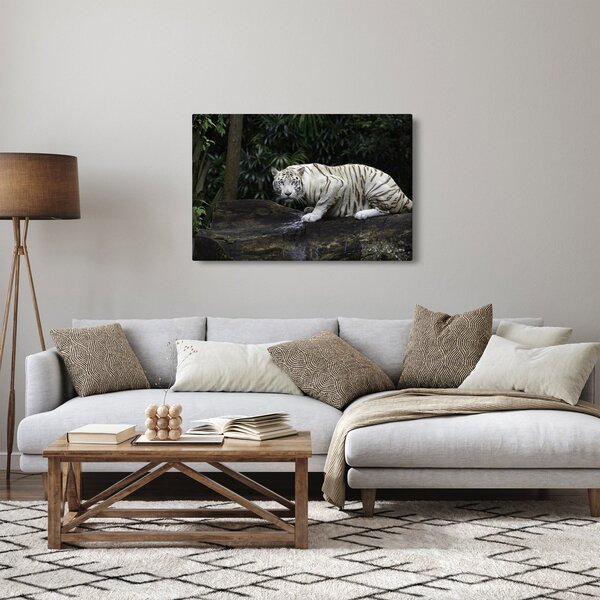 Slika - Albino tiger (90x60 cm)