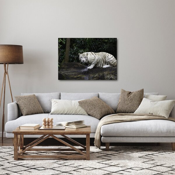 Slika - Albino tiger (70x50 cm)