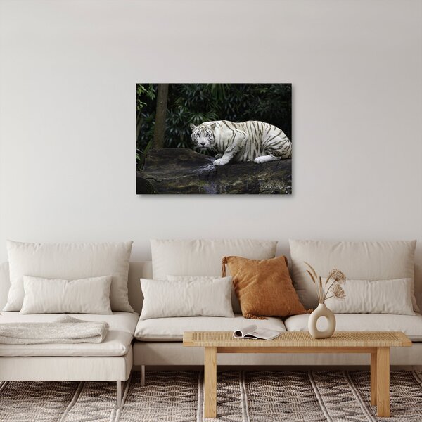 Slika - Albino tiger (70x50 cm)