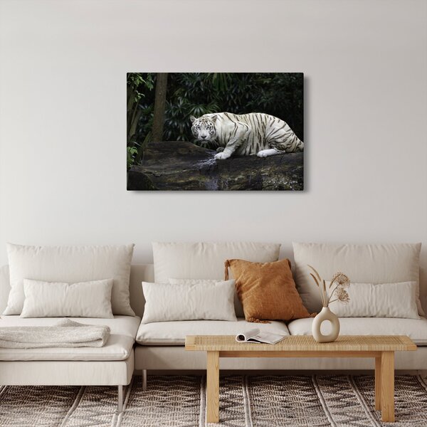 Slika - Albino tiger (90x60 cm)
