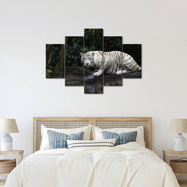 Slika - Albino tiger (150x105 cm)