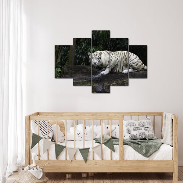 Slika - Albino tiger (150x105 cm)