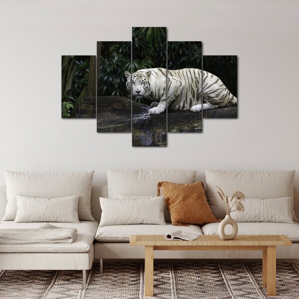 Slika - Albino tiger (150x105 cm)