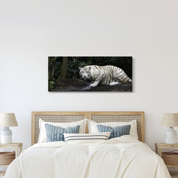 Slika - Albino tiger (120x50 cm)