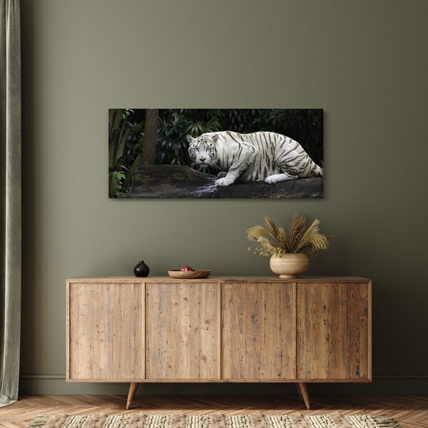 Slika - Albino tiger (120x50 cm)