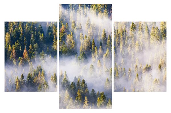 Slika dreves v megli (90x60 cm)