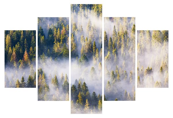 Slika dreves v megli (150x105 cm)