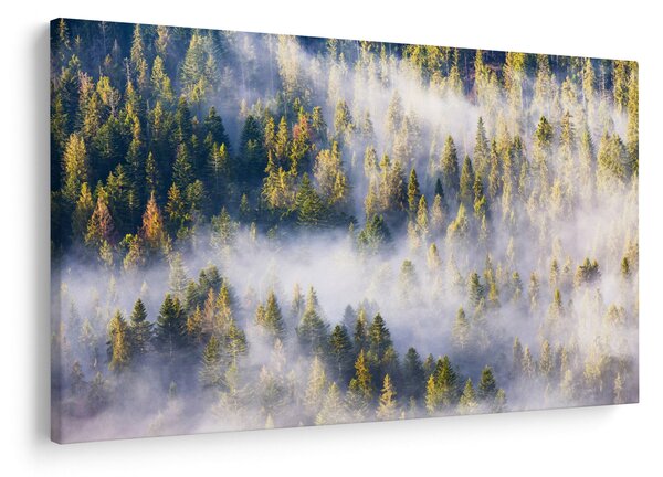 Slika dreves v megli (90x60 cm)