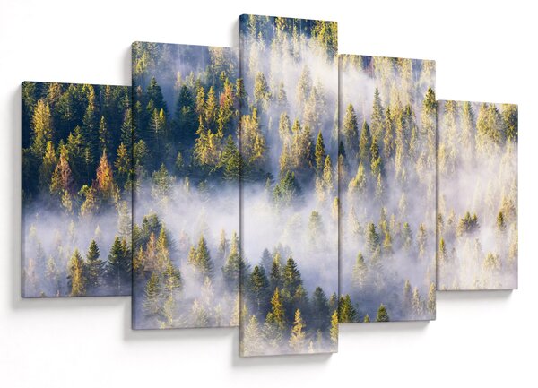 Slika dreves v megli (150x105 cm)