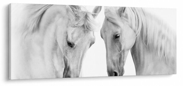 Slika belih konjev (120x50 cm)