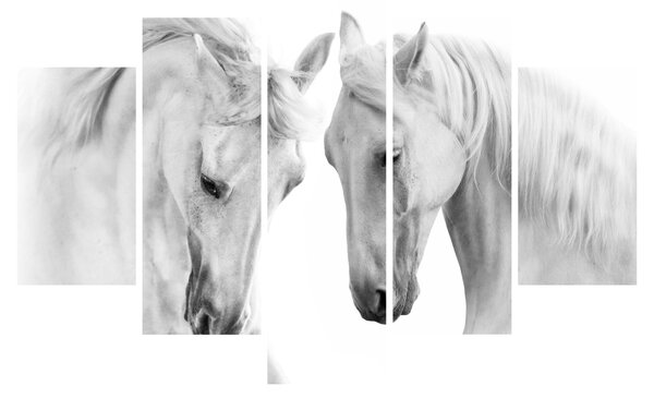 Slika belih konjev (150x105 cm)
