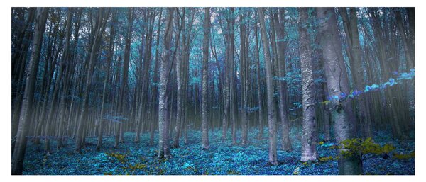 Slika - Čarobni gozd (120x50 cm)