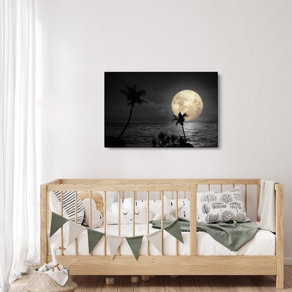 Slika - Plaža pod polno luno v sivih tonih (90x60 cm)