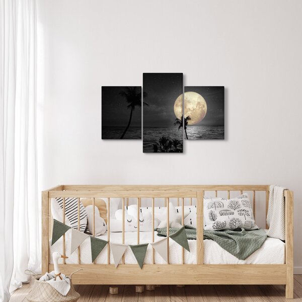 Slika - Plaža pod polno luno v sivih tonih (90x60 cm)