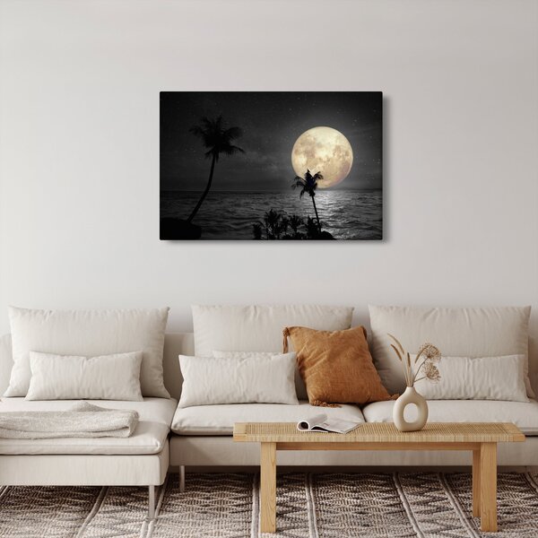 Slika - Plaža pod polno luno v sivih tonih (90x60 cm)