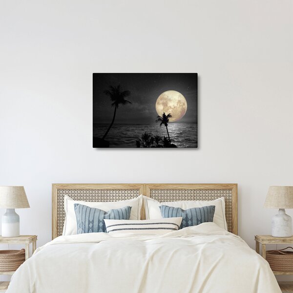 Slika - Plaža pod polno luno v sivih tonih (70x50 cm)