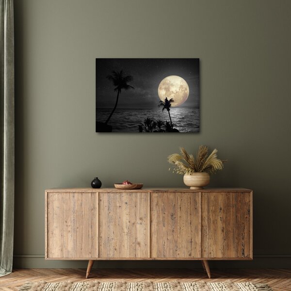 Slika - Plaža pod polno luno v sivih tonih (70x50 cm)