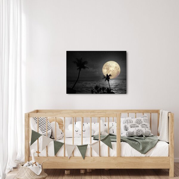 Slika - Plaža pod polno luno v sivih tonih (70x50 cm)