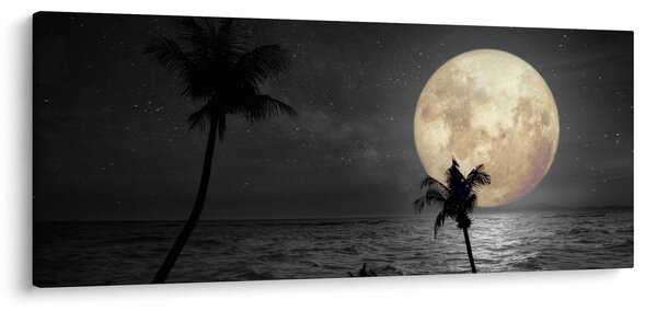 Slika - Plaža pod polno luno v sivih tonih (120x50 cm)