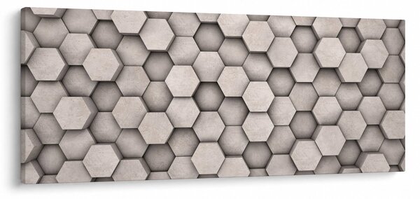 Slika - Heksagoni v betonski zasnovi (120x50 cm)