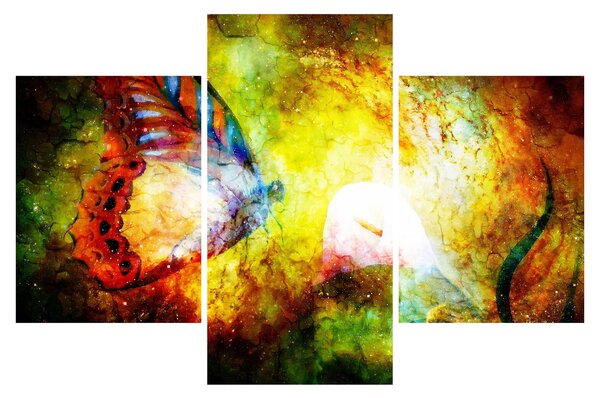 Slika - Vesoljski metulj (90x60 cm)