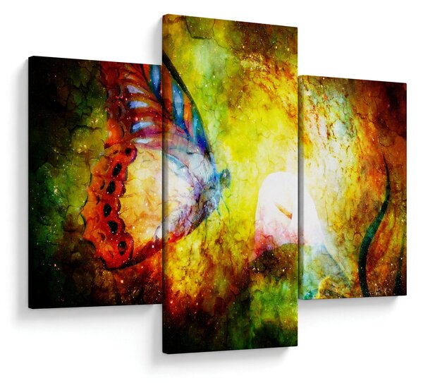 Slika - Vesoljski metulj (90x60 cm)