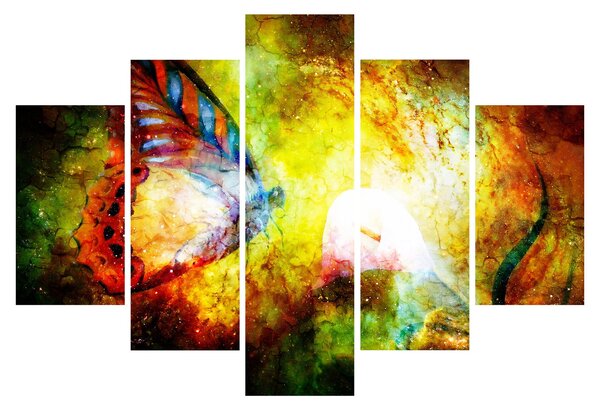 Slika - Vesoljski metulj (150x105 cm)