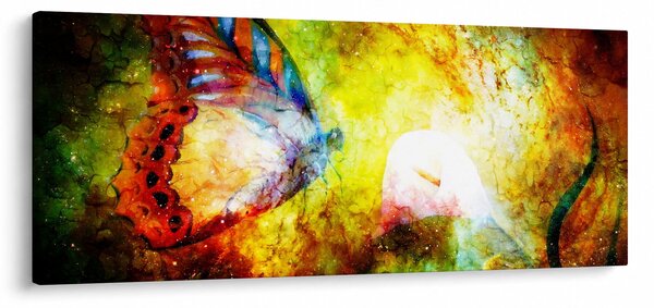 Slika - Vesoljski metulj (120x50 cm)