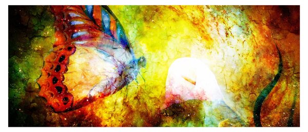 Slika - Vesoljski metulj (120x50 cm)