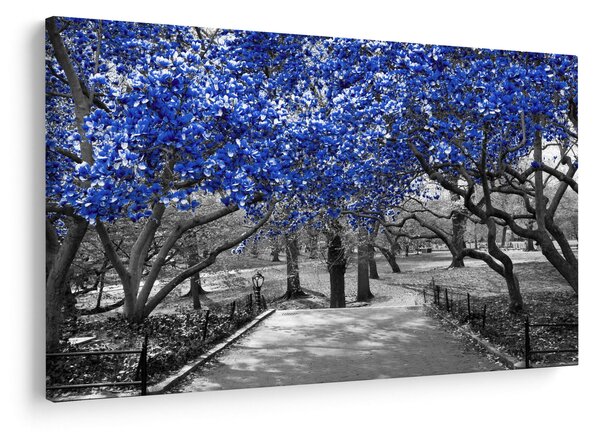 Slika - Modra drevesa, Central Park, New York (90x60 cm)
